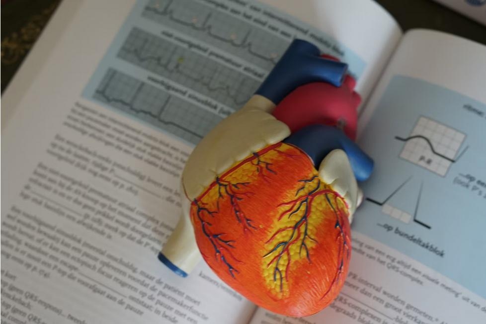 Gas Argon per salvare i neuroni dei pazienti in arresto cardiaco: primo caso al mondo trattato con successo al Policlinico di Milano